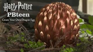 Create Your Own Dragon Egg