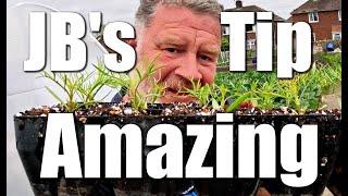 I Challenge You | JB's Tip Of The Week | Allotment Gardening With Tony