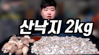 만능방송 산낙지2kg 탕탕이 레전드 도전먹방 Mukbang Eating Show