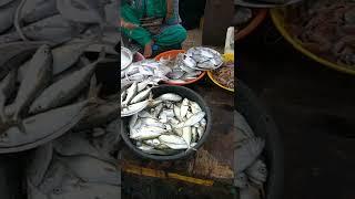 BIGGEST FISH  MARKET IN RATNAGIRI#SHORTS #YTSHORTS #VIRAL #TRENDING