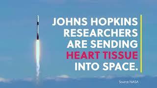 Heart Tissue Heads to Space | Johns Hopkins Medicine