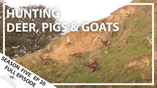 Hunting Aotearoa Series 5 EP20 Hunting Deer, pigs and goats