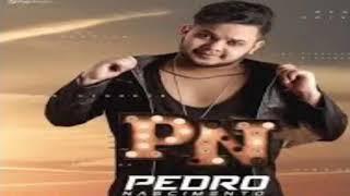 PEDRO NASCIMENTO - PRA ESQUECER A 2018