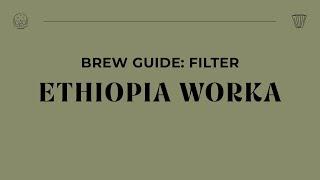 Brew Guide - Ethiopia Worka Filter