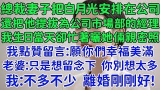 總裁妻子把白月光安排在公司就算了，還把他提拔為公司市場部的經理。我生日當天卻忙著曬她倆親密照後，我點贊留言：願你們幸福美滿！她立刻刪了動態：只是想留念下，你別想太多。我：不多不少，離婚剛剛好！