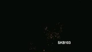 Sky Fireworks SKB-103
