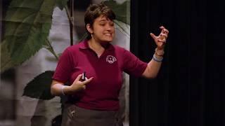 Magnetism And Its Effects On Plant Growth | NY Sun Works Youth Conference