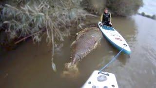 15 Deadliest River Monsters Of The Amazon