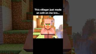 Minecraft Villager Moment