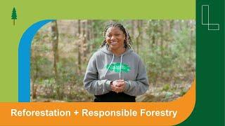 Working Trees: Reforestation and Responsible Forest Management