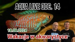 AQUA LIVE ODC. 14 | Wakacje w akwarystyce | 18.08.24 |  #aquascapingtv