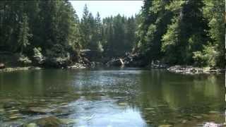 Nanaimo River Film Shaw TV Nanaimo channel 4.mpg