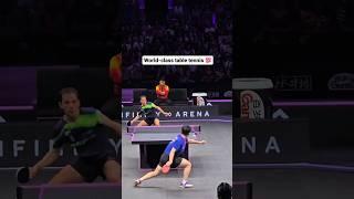 AMAZING SAVE by Table Tennis Player | #tabletennis #sports #amazing #shorts #fyp #tennis