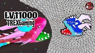 SNAKE CLASH: PRO VS NOOBS 100% WIN   SNAKES GAMEPLAY 