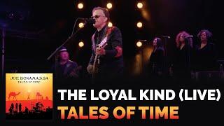 Joe Bonamassa - "The Loyal Kind" (Live) - Tales of Time