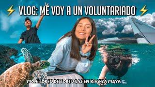 Me voy a un VOLUNTARIADO de TORTUGAS MARINAS por 1 MES  l VLOG EMPACAR + VIAJE 