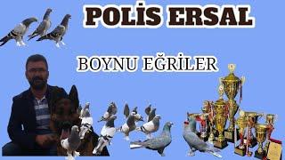 SAYISIZ BAŞARI (POLİS ERSAL )