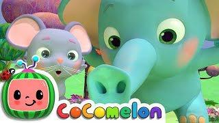 The Sneezing Song | CoComelon Nursery Rhymes & Kids Songs