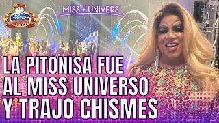 PITONISA FUE AL MISS UNIVERSO Y TRAE CHISMES QUE NADIE SABE