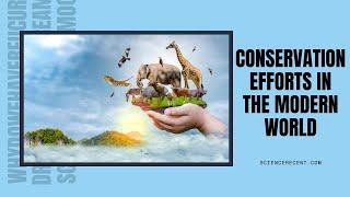 Conservation Efforts in the Modern World