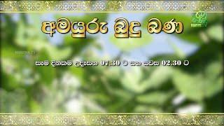 අමයුරු බුදු බණ | Amayuru Budhu Bana | Haritha TV