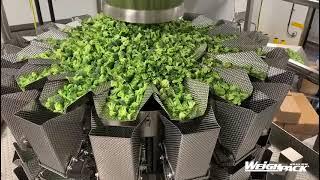 Frozen Broccoli Weighing and Tray Filling Machines