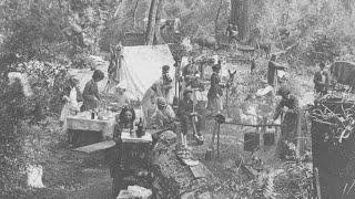 Animated Stereoscopic Photo of Families Camping Out in a Forest Somewhere in California (1870)