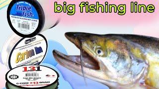 বড় বোয়াল ধরার সঠিক সুতা √ সঠিক সিসার ব্যবহার fishing tec Bangla