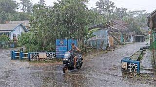 Heavy Rain in My Village | Walking in Village Life on the Edge of a Stunning River | Sound of Rain