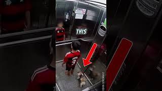 Dog gets caught in elevator #closecall #hero