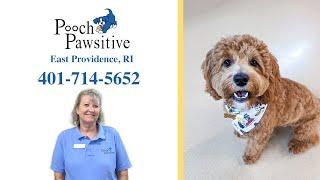 Pooch Pawsitive