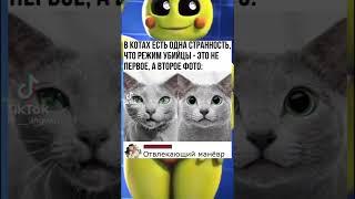 Отвлекающий манёвр #shorts #ютуб #прикол #мем #мемы #юмор #funny #смех