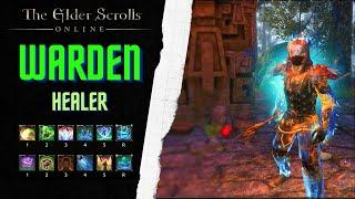 TESO ISLA ALTA: BUILD WARDEN HEALER | PAUTAS BÁSICAS PARA HEALER