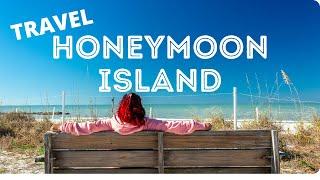 Honeymoon Island State Park | A Hidden Treasure on Florida's Nature Coast