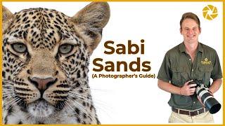 The Sabi Sands Game Reserve | A Guide for Photographers