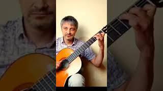 I Just Called to Say I Love You (Fingerstyle Guitar Cover) #shorts