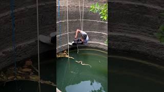 Snake Rescuing #shortvideo #shorts #youtubeshorts