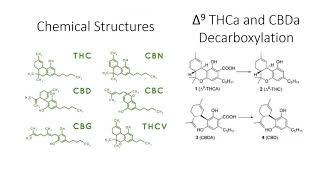 Certificates of Analysis (COA's) - Understanding Them And How They Are Used In The Cannabis Industry