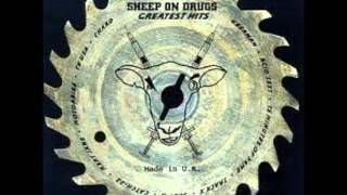 Sheep On Drugs 15 Minutes of Fame