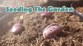 The Easiest No Dig System - Step 2. Sowing Seeds | Starting a homestead