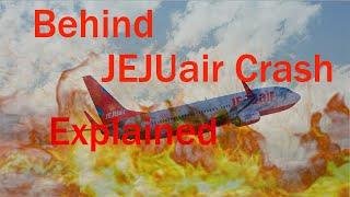 The Jeju Air Crash || what's behind the Jeju  Air  Crash || #jejuaircrash