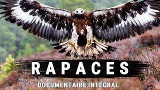 Rapaces : Cauchemars Des Cieux | Documentaire intégral