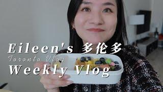 Eileen | 多伦多weekly vlog 我加拿大房子后院改造，参加活动给小孩子做便当