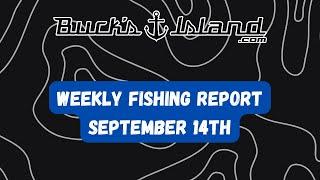 Fishing Report-September 14th- Neely Henry, Weiss, Logan Martin,Lay, Guntersville,Lake Martin,Jordan