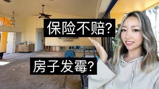 房屋受灾保险索赔秘诀｜北美房子泡水的急救方法｜飓风过后与保险公司的斗智斗勇｜保险理赔师Public Adjuster