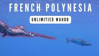 French Polynesia Spearfishing | Unlimited Wahoo | Spearfishing Fails & Spearfishing Paradise