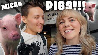 Visiting JAPAN'S Cutest Animal Cafe   (MiPig)!