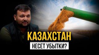 Грядущий коллапс на рынке зерна и потери дохода для Казахстана