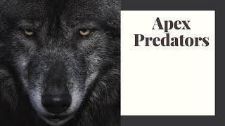 Why Are Apex Predators Critical to Ecosystems?