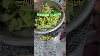 전세계에서 한국인만먹는음식 4가지 곤드레 홍어 도토리묵 곱창
